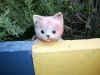 Cat2.jpg (84975 bytes)